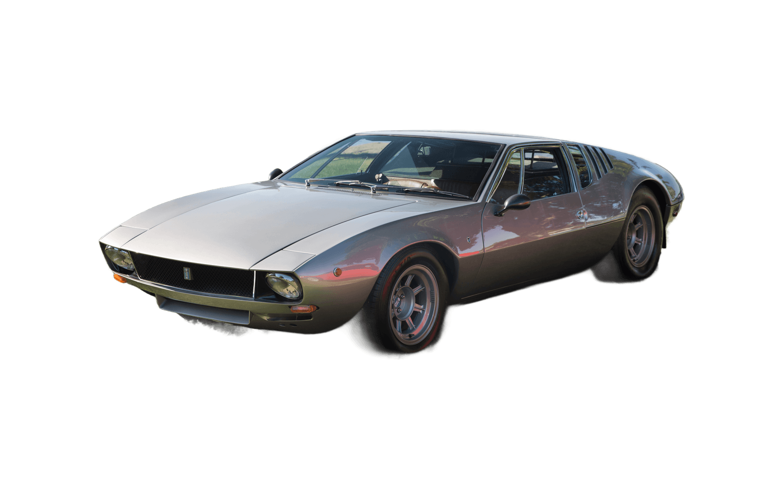 Mangusta